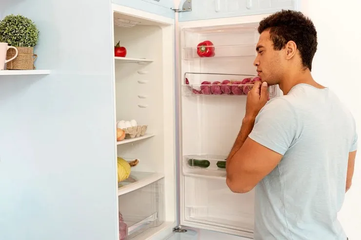 خراب شدن مواد غذایی در یخچال را جدی بگیریم